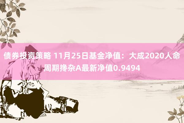 债券投资策略 11月25日基金净值：大成2020人命周期搀杂A最新净值0.9494