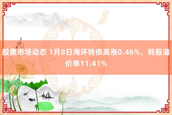 股票市场动态 1月8日海环转债高涨0.46%，转股溢价率11.41%