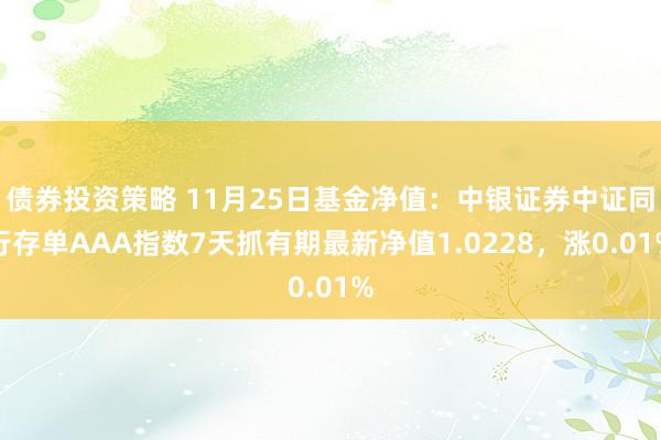 债券投资策略 11月25日基金净值：中银证券中证同行存单AAA指数7天抓有期最新净值1.0228，涨0.01%