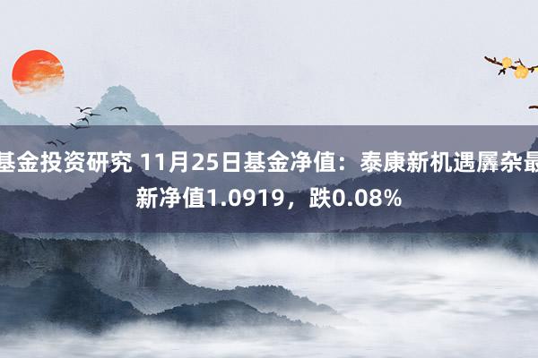 基金投资研究 11月25日基金净值：泰康新机遇羼杂最新净值1.0919，跌0.08%