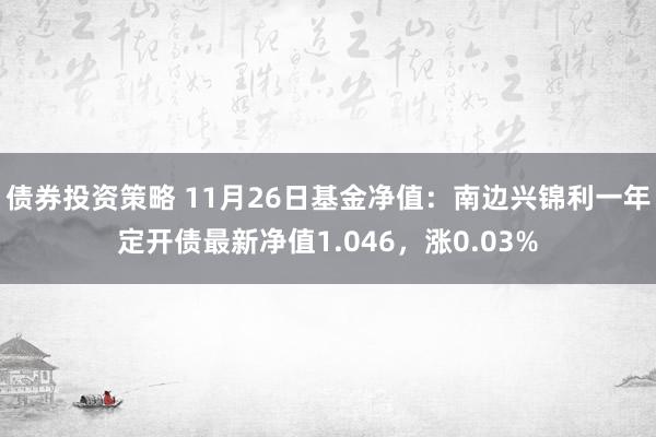 债券投资策略 11月26日基金净值：南边兴锦利一年定开债最新净值1.046，涨0.03%