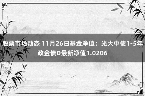 股票市场动态 11月26日基金净值：光大中债1-5年政金债D最新净值1.0206