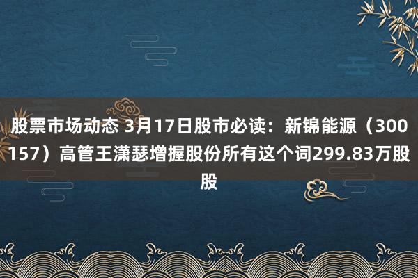 股票市场动态 3月17日股市必读：新锦能源（300157）高管王潇瑟增握股份所有这个词299.83万股