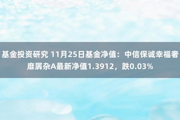 基金投资研究 11月25日基金净值：中信保诚幸福奢靡羼杂A最新净值1.3912，跌0.03%