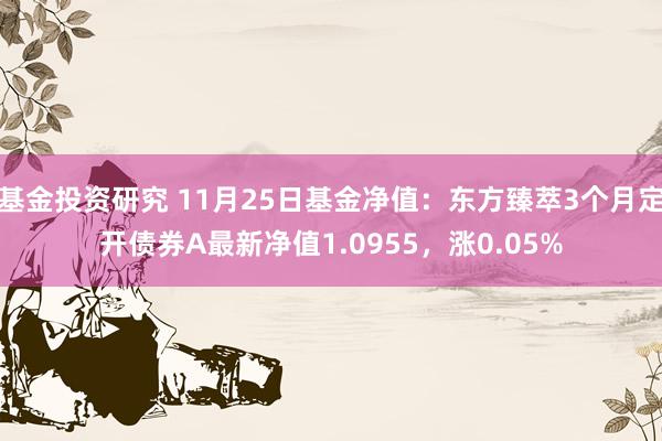 基金投资研究 11月25日基金净值：东方臻萃3个月定开债券A最新净值1.0955，涨0.05%