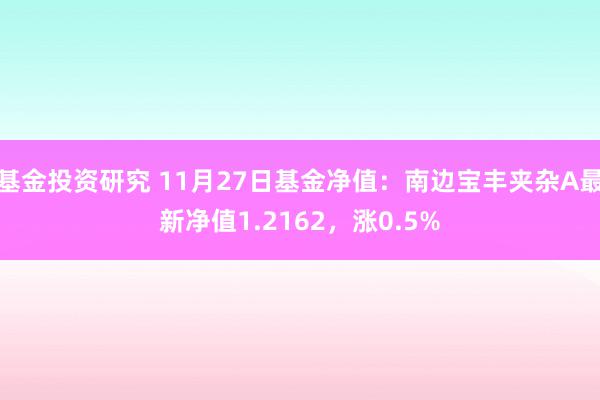 基金投资研究 11月27日基金净值：南边宝丰夹杂A最新净值1.2162，涨0.5%